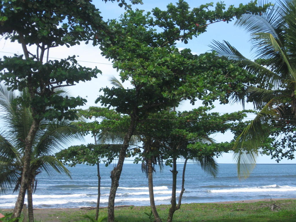 Cabinas Miss Miriam 2 Tortuguero Εξωτερικό φωτογραφία