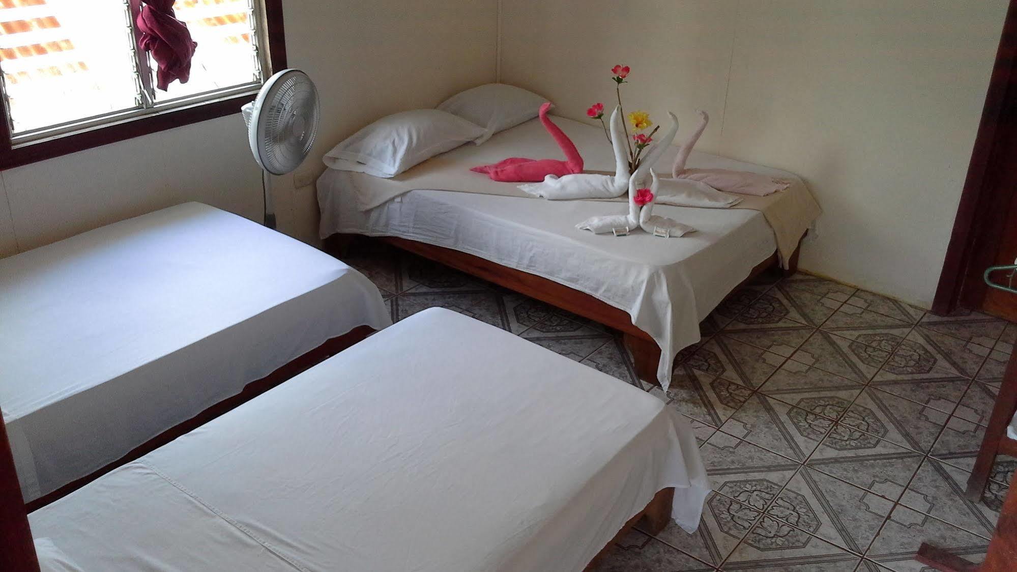 Cabinas Miss Miriam 2 Tortuguero Εξωτερικό φωτογραφία
