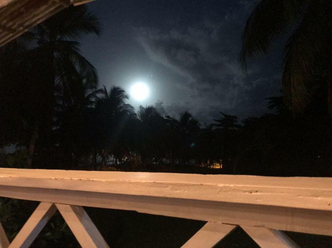 Cabinas Miss Miriam 2 Tortuguero Εξωτερικό φωτογραφία